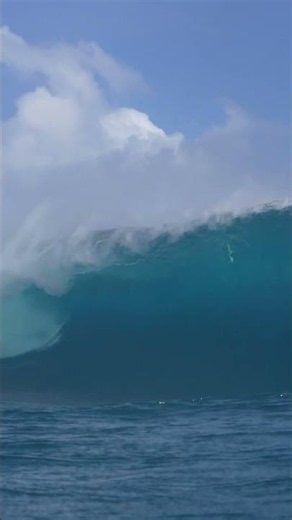 🔴(NOT A.I.) MONSTERS in the Pacific