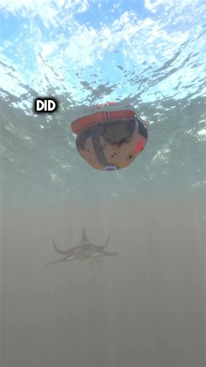 The terrifying truth behind the missing lifepods #subnautica | Subnautica