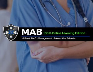 M1 MAB Online 2022