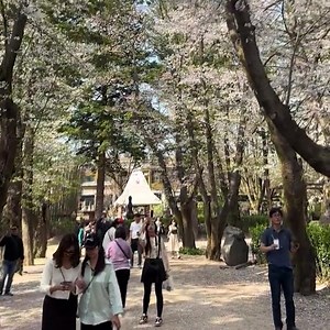 10K reactions · 593 shares | KOREA PACKAGE on sale  Limited slots....