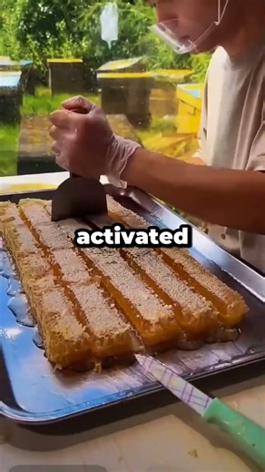 What's the dumbest way you got in trouble without breaking any rules?