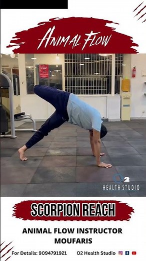 Animal Flow - Scorpion Reach