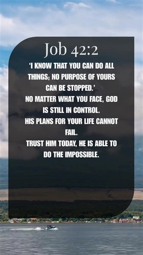 Trust God’s Plan Even When You Don’t Understand | Job 42:2 #bible #jesus #bibleshorts