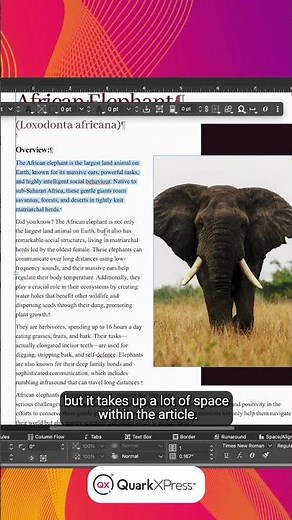 Freely Edit with a Prompt with Quarky in QuarkXPress 2025