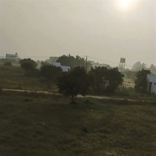 Morning vibes✨✨✨#earlymorning#early #morning#morningmotivation #morningvibes