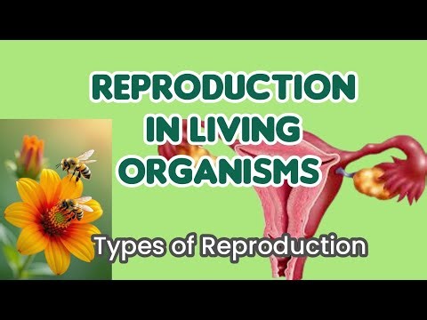 Reproduction in Living Organisms