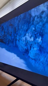 Barney likes Buck being lead dog #TheCallOfTheWild #reaction #react | Stephen Kelleher