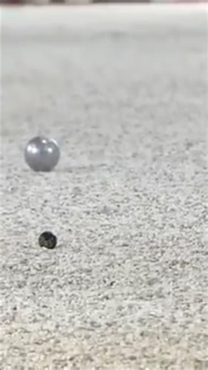 Pétanque le coup de joker de ￼Philippe Quintais #petanque #sports
