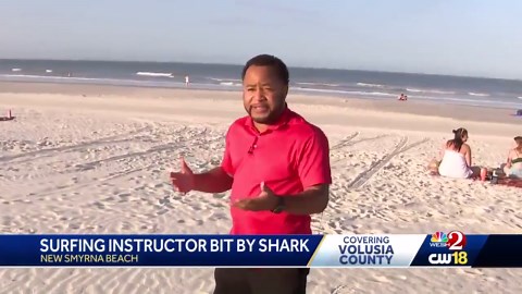 Teenage surf instructor bitten by shark in New Smyrna Beach