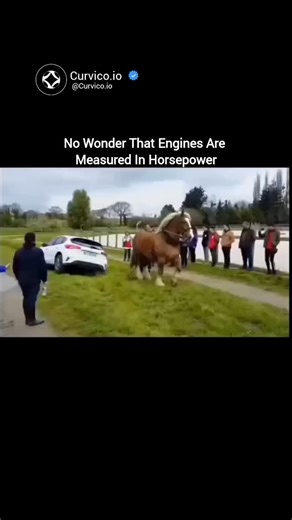 Curvico Explained on Instagram: "Witnessing this incredible display, it's immediately clear why engines are measured in horsepower. This magnificent draft horse effortlessly shows us the definition of the unit! Long before the invention of the internal combustion engine, Scottish engineer James Watt standardized the term, defining one horsepower as the work rate of a reliable, continuous draft animal. Today, that unit of measure is what pushes our fastest cars. But nothing beats the sight of the