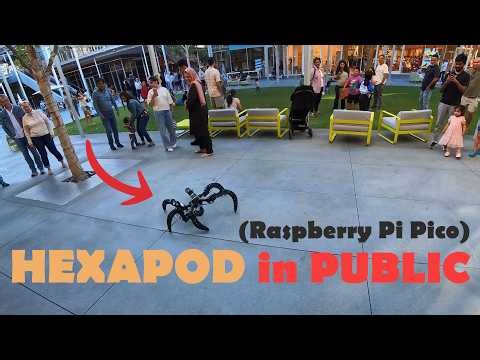 Raspberry Pi Pico HEXAPOD Robot out in public! DIY Spider Robot.