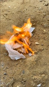 🟢 Survival skill: Making fire with a sharpener 🔥 #shorts #survival #bushcraft #outdoors