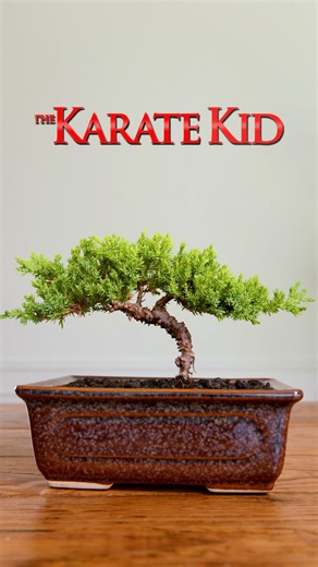 Accomplish anything. #FanArtFriday You voted, and we listened. Fans like yourself voted the #KarateKidMovie as a favourite in the #ColumbiaPictures100 library, and now you can add it to your collection today! https://www.sonypictures.ca/movies/the-karate-kid-1984 | Sony Pictures