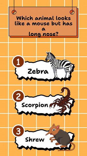 Here is the animal quiz questions. Hope you will enjoy solving it ;) #quizrecess #animalquiz #QuizChallenge #QuizTime #doyouknow | Quiz Recess