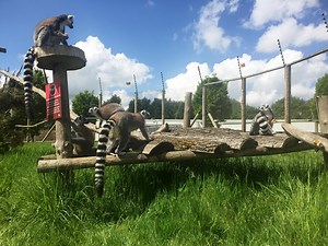 2.9K views · 59 reactions | Twycross Zoo on Reels | Facebook