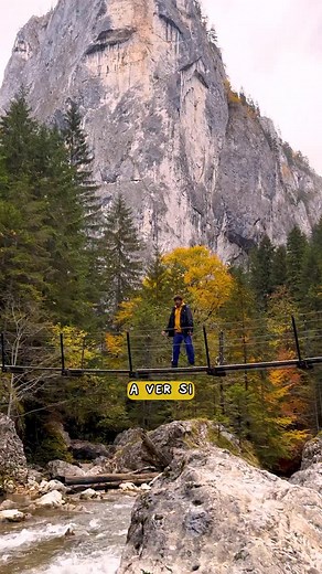 12K views · 4.6K reactions | Parece de otro planeta  Hay países con...