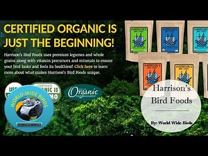 Harrison's Bird Foods
