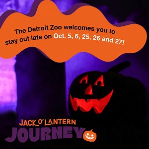 15K views · 163 reactions |  Introducing Jack O’ Lantern Journey at...