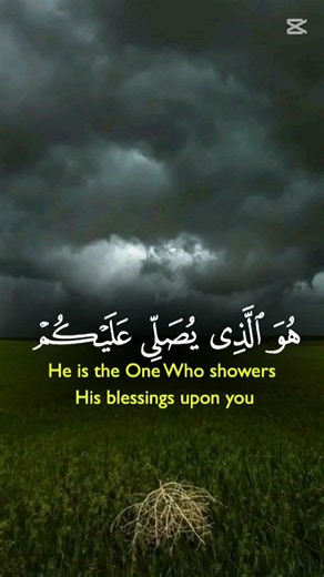 القرآن الكريم 🕋🎧
