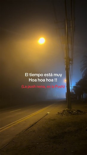 Me siento muy crepusculona con este tiempo #twilight #lapush #chile | Twilight Cosplay
