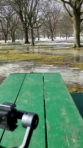 GoPro Hero 10 Works Perfectly with Zhiyun Smooth 5 Smartphone Gimbal