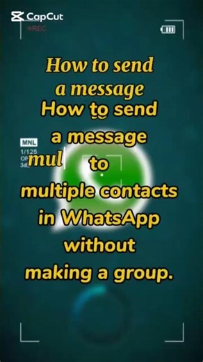 How to send a message to multiple/all contacts on WhatsApp?