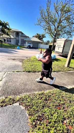 Just like a Bumblebee 🐝 | bumblebee dance