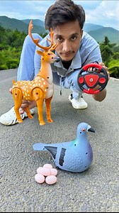 62K views · 7.1K reactions | EKLOGE EGG WALA PIGEON BIRDS VS RC DEER 歷 deko #shorts #unboxing #review #rcbirds #toys #deer | Badrul Shorts | Facebook