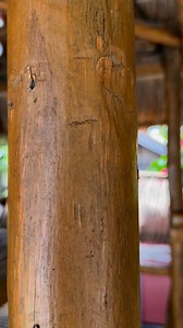 Tambis 🤤 | Life of Habibi