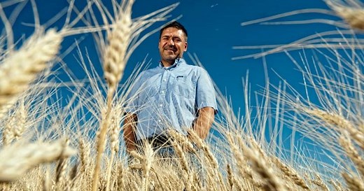 University of Saskatchewan team completes map of wheat genome