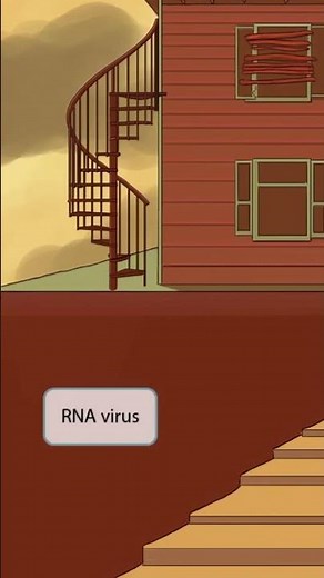 Hantavirus — A rodent-borne virus with severe pulmonary consequences