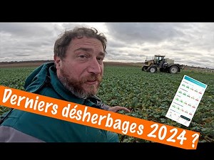 Derniers désherbage 2024 et test de l'application HYGO