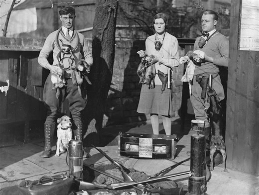 Rat catchers, powder monkeys, and resurrectionists: 20 jobs that no longer exist