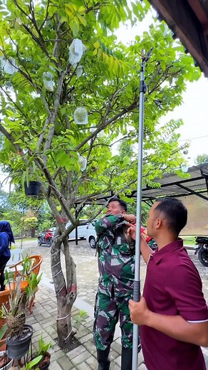 595K views · 28K reactions | Panen buah dan rujakan bareng tamu di ZEN GARDEN , ada yang mau gabung? #panenbuah #rujakbuah #kebunhalamanrumah #zengarden #fyp #viral #trending | Zen Garden | Facebook