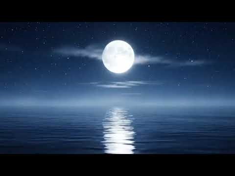 The Ultimate Classical Music Playlist | Feel the Beauty of Every Note 🎼