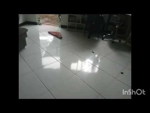 The Backrooms Level 9 Darkened Suburbs