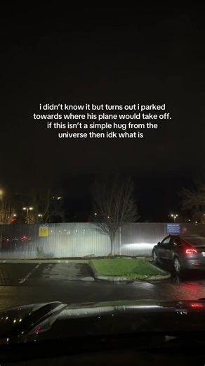 Unexpected Plane Encounter at the Airport