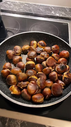 user2921525363485 on TikTok