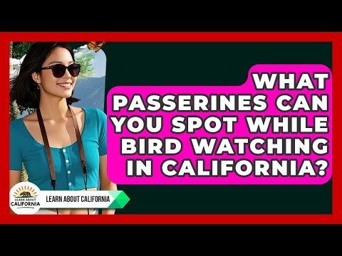 What Passerines Can You Spot While Bird Watching In California? - Learn About California