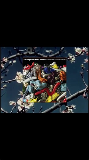 How The Alchemist Sampled California Fruits