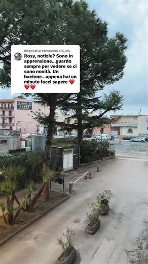 Risposta a @Giuly #byrosyshabbychic🌸💗🌸 #amichepink🎀 #appendice #figlio #sanita