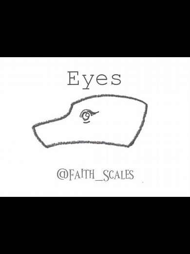 Dragon Puppet Ideas Pause Challenge #pausechallenge #dragonpuppeteer #dragonpuppets #faithscales