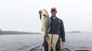 27K views · 683 reactions | Brandon Cobb lands a lunker to start off his morning! Cobb now has 4 fish in his livewell according to #BassTrakk! Keep up with your favorite angler on Bassmaster.com by viewing the BassTrakk tab for catches and weights recorded in real time! ⬇️ https://www.bassmaster.com/tournament/2023-bassmaster-elite-at-santee-cooper/basstrakk/?pro=1 #Bassmaster #BassElite #SanteeCooperLakes | Bassmaster | Facebook