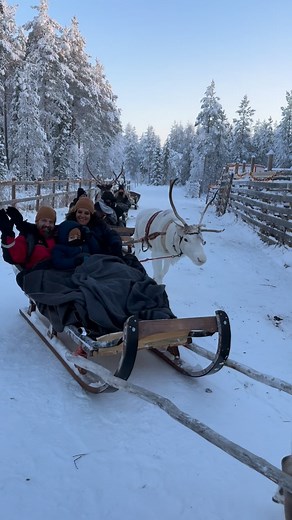 4.5K views · 4.3K reactions | ✨Come and enjoy our many activities. Have you ever tried reindeer sled ride through the forest?✨ ❄️During this safari, you will experience this traditional way the Arctic people travel. 歷 Our Activities by Santa Claus Holiday Village Safaris 懶 #SantaClausHolidayVillage #fyp #Lapland #rovaniemi #VisitFinland #reindeer | Santa Claus Holiday Village | Facebook