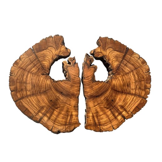 DIY Twin Olive Tree Slice: Natural Edged Tree Root for Epoxy Resin Art