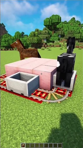 Minecraft Carousel Ride 🎠 #minecraft #shorts