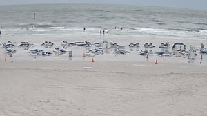 Did a tsunami hit Florida? Sort of. Here’s what experts are saying about the phenomena.