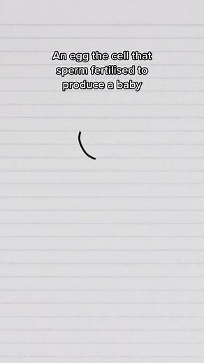 Largest Single Cell: Exploring the Fascinating World of Ostrich Eggs