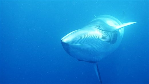 BBC Learning English - Course: Upper-intermediate / Unit 4 / Session 2 / Activity 1