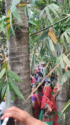 12K views · 491 reactions | ❤️李Happy holi❤️ #happy #holi #viralreelsfb #trendingreels | 퐀퐯퐫퐨 퐯퐬 퐒퐡퐮퐯퐫퐨 | Facebook